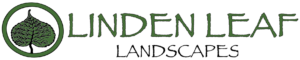 Linden Leaf Landscapes logo